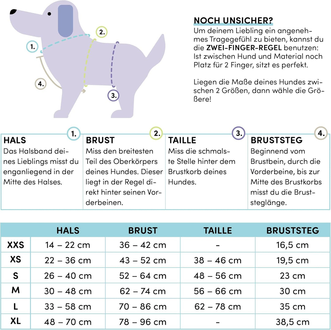 STUCH Hundegeschirr - verstellbares Nylon Geschirr - gepolstert - Für kleine, mittlere und grosse Hu