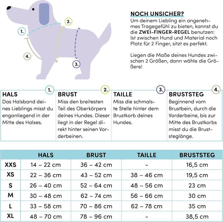 STUCH Hundegeschirr - verstellbares Nylon Geschirr - gepolstert - Für kleine, mittlere und grosse Hu