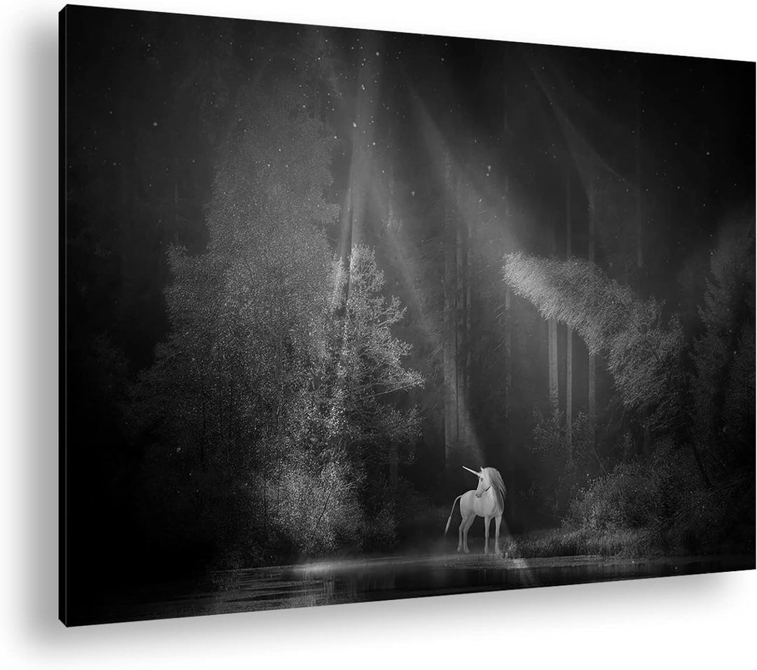 deyoli Einhorn auf einer Waldlichtung Format: 80x60 Effekt: Schwarz&Weiss als Leinwandbild, Motiv fe