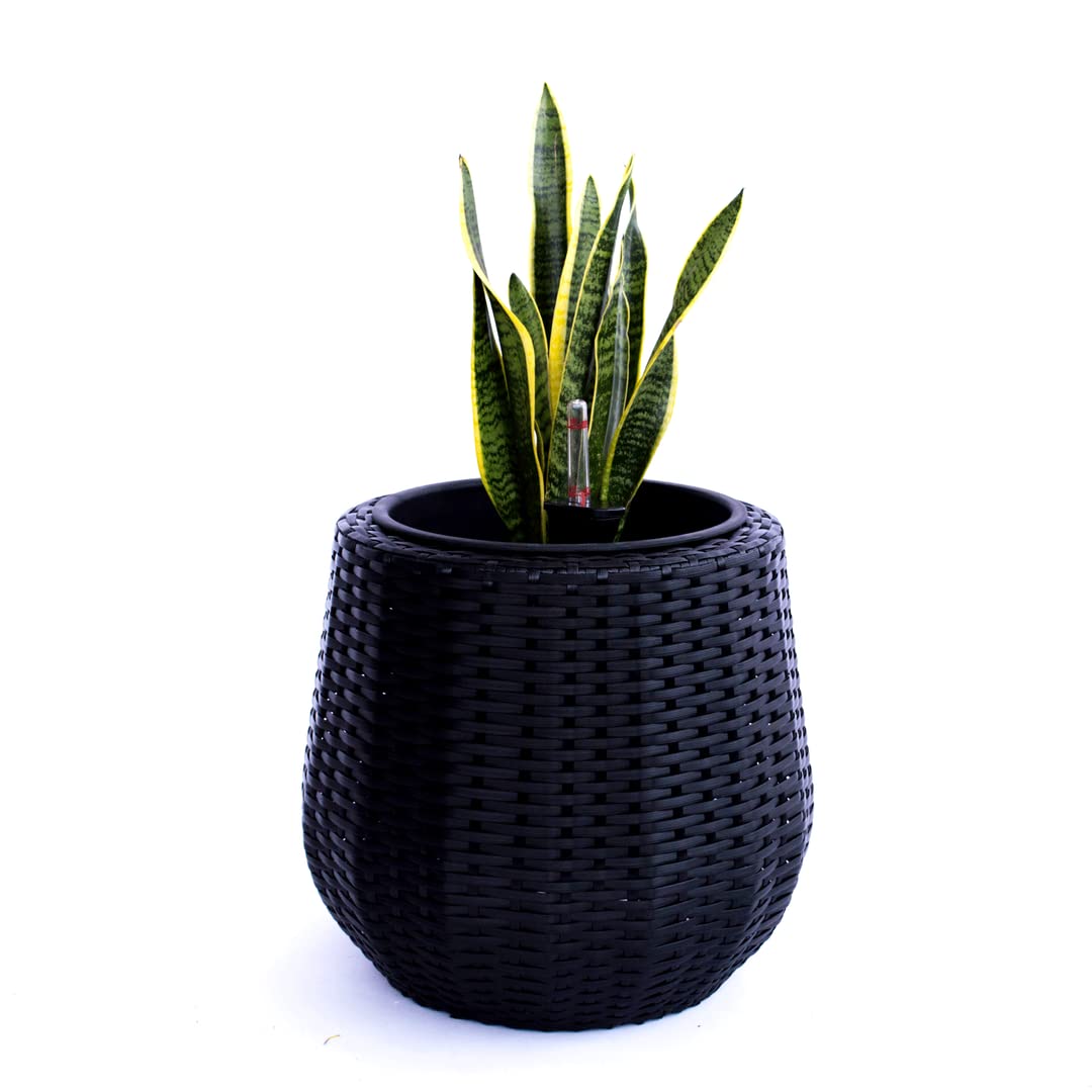 Eleganteinrichten Pflanzkübel Polyrattan D52xH44cm schwarz.