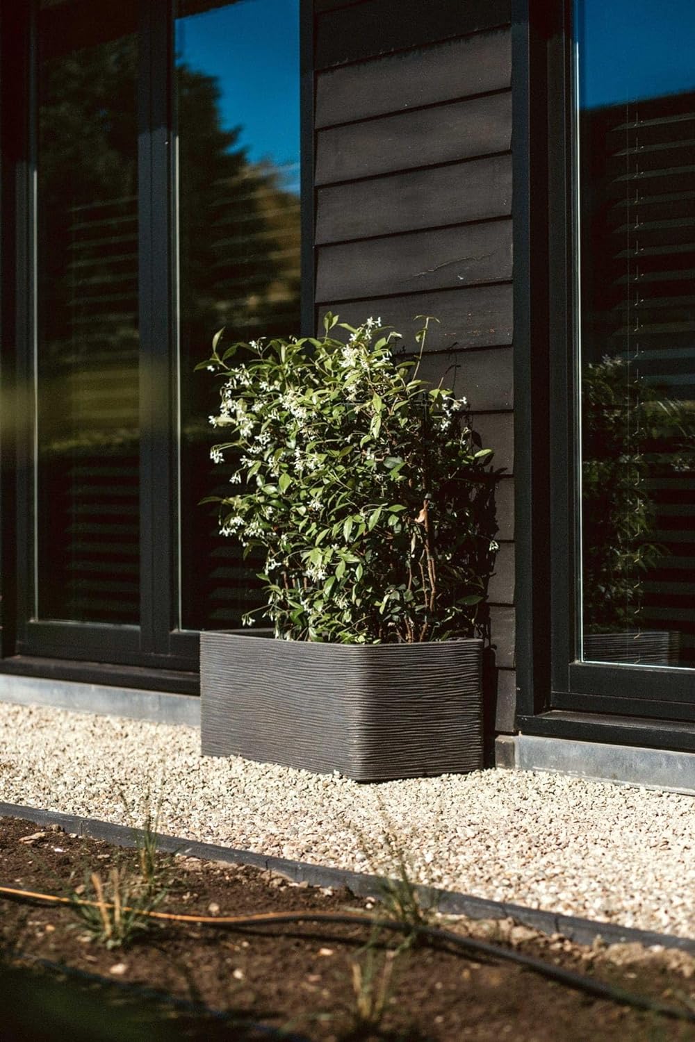 Capi Europe - Gefäss rechteckig Rib NL - 73x39x32 - Anthrazit - Öffnung Ø31 - Blumentopf für den Inn