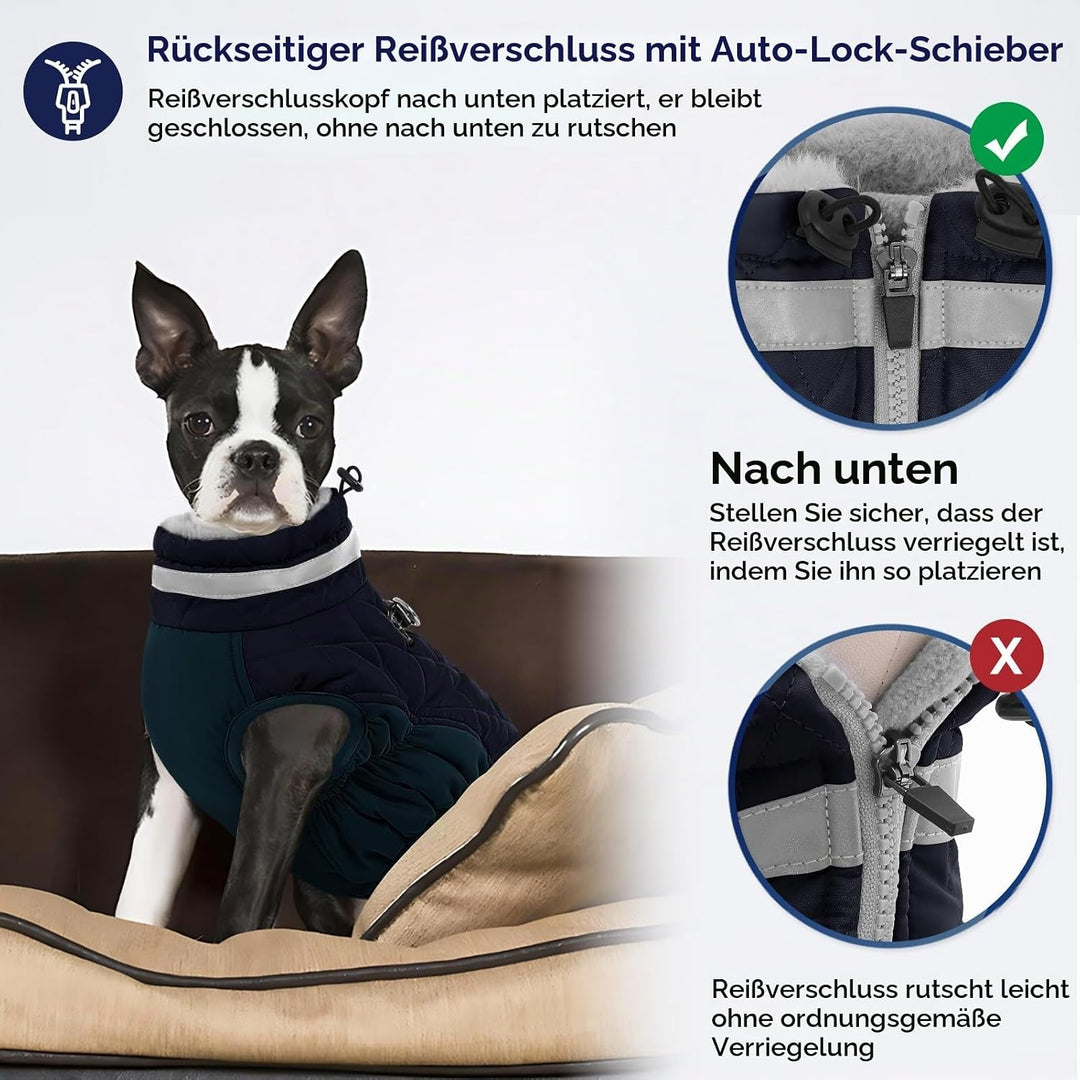 AOFITEE Hundejacke Kleine Hunde, Wasserdicht Hunde Wintermantel Warm Hundemantel mit Geschirr, Rollk