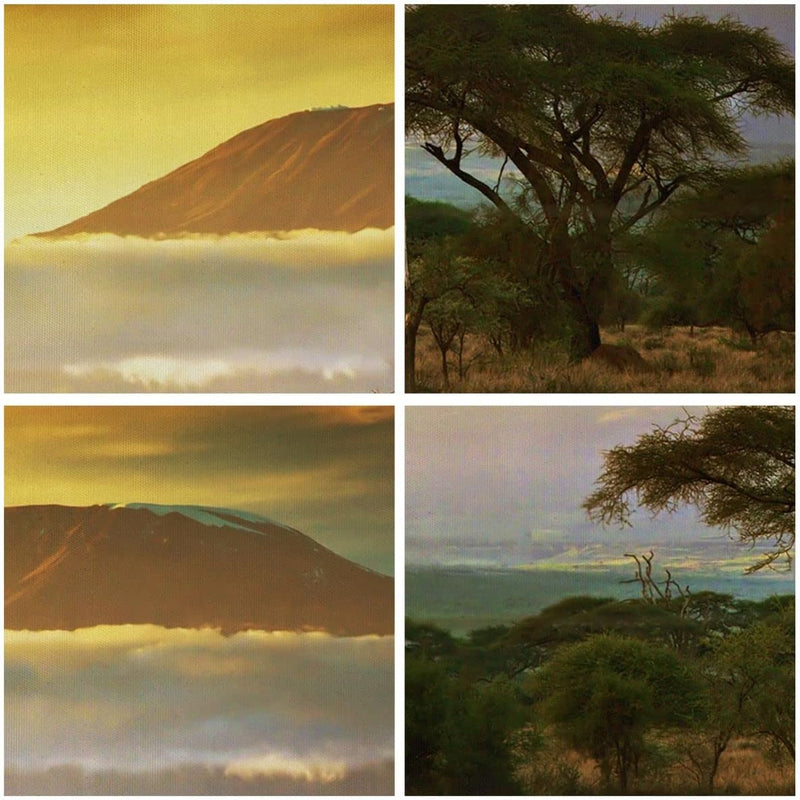 Bilder auf Leinwand 100x70cm Leinwandbild Safari Tierwelt Berg Kenia Gross Wanddeko Bild Schlafzimme