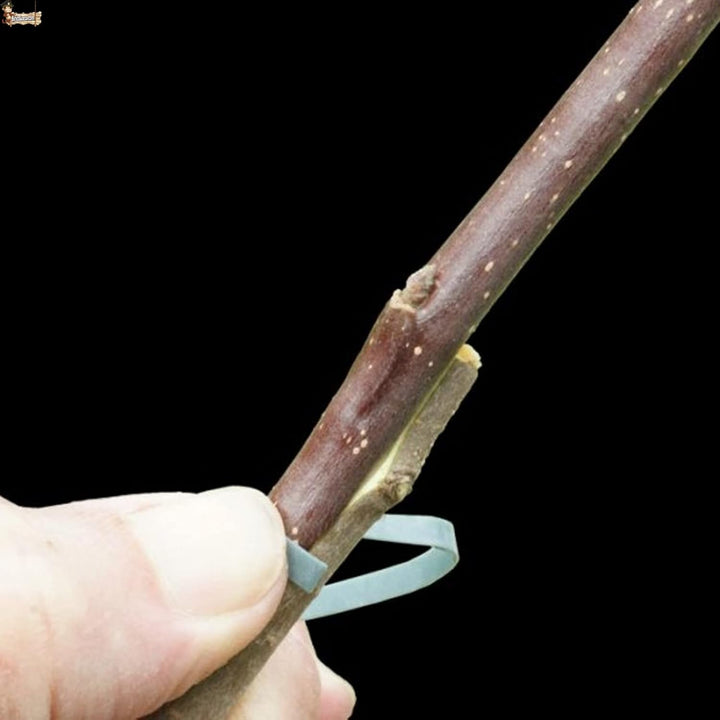 BricoLoco.com Elastisches Pfropfgummis 240 x 8 mm 70 Gummis Flexiband für manuelle Veredelung in Bäu