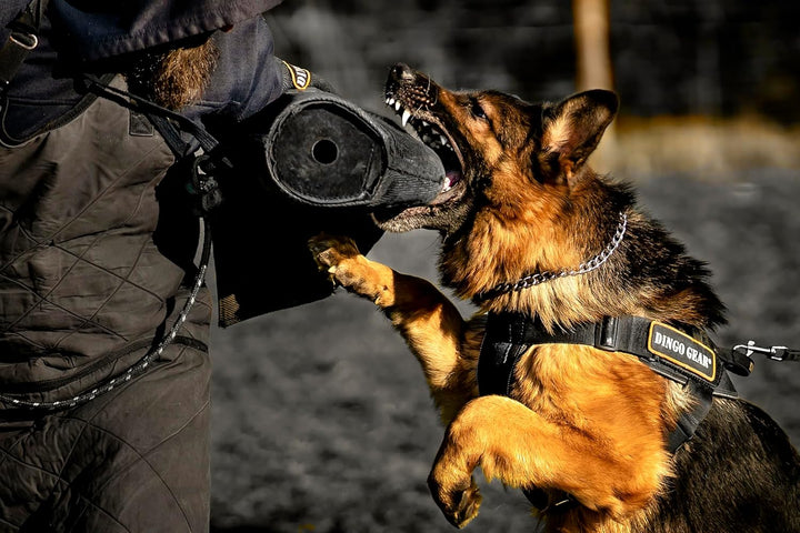 Dingo Gear Schutzärm Garda Universal Schutz für das IGP, K9 Nylcot Rot S00541, Nylcot Rot