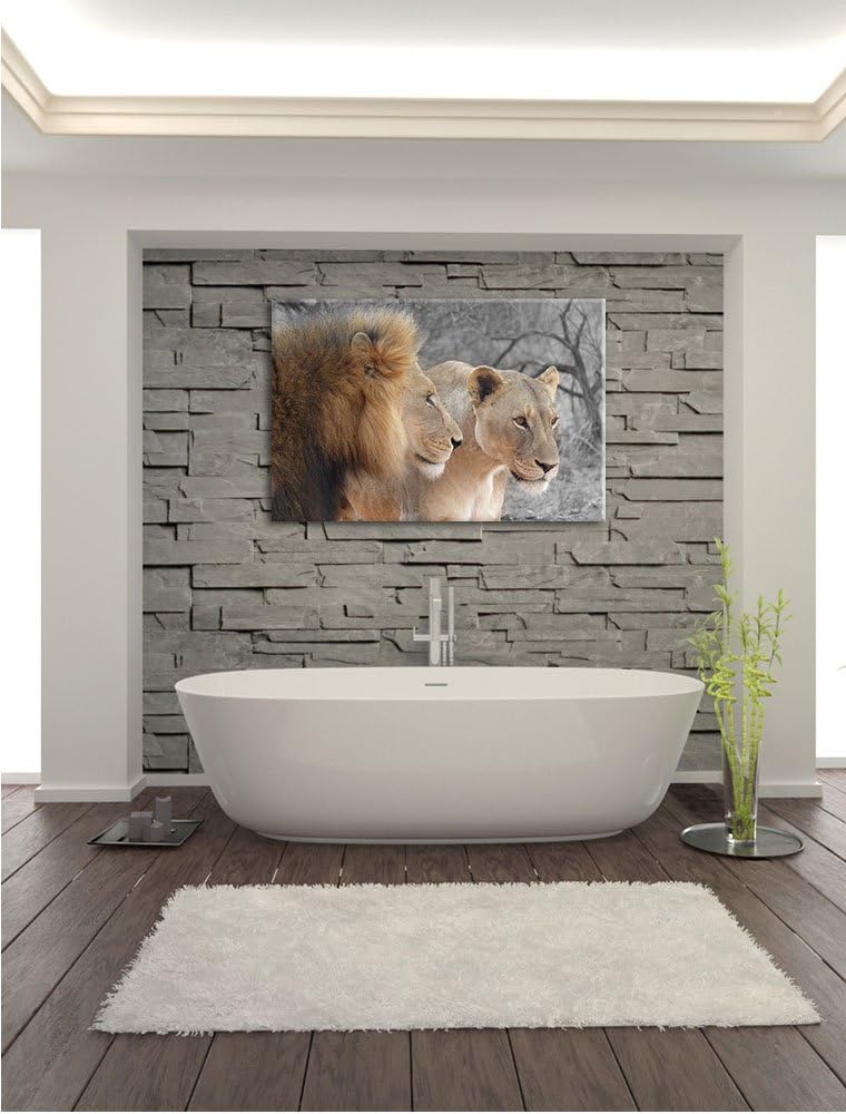 Pixxprint stolzes Löwenpaar als Leinwandbild/Grösse: 100x70 cm/Wandbild/Kunstdruck/fertig bespannt.,
