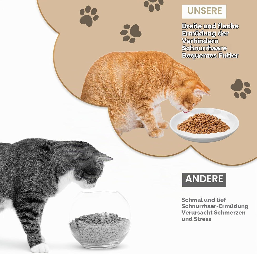 Galerie SV 6 Stück Futternapf Katze - Katzen Napfset - Katzennapf Keramik - Katzennapf ErhöHt - Napf