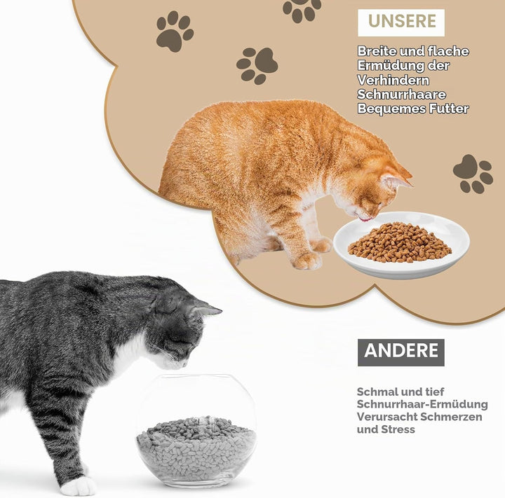 Galerie SV 6 Stück Futternapf Katze - Katzen Napfset - Katzennapf Keramik - Katzennapf ErhöHt - Napf