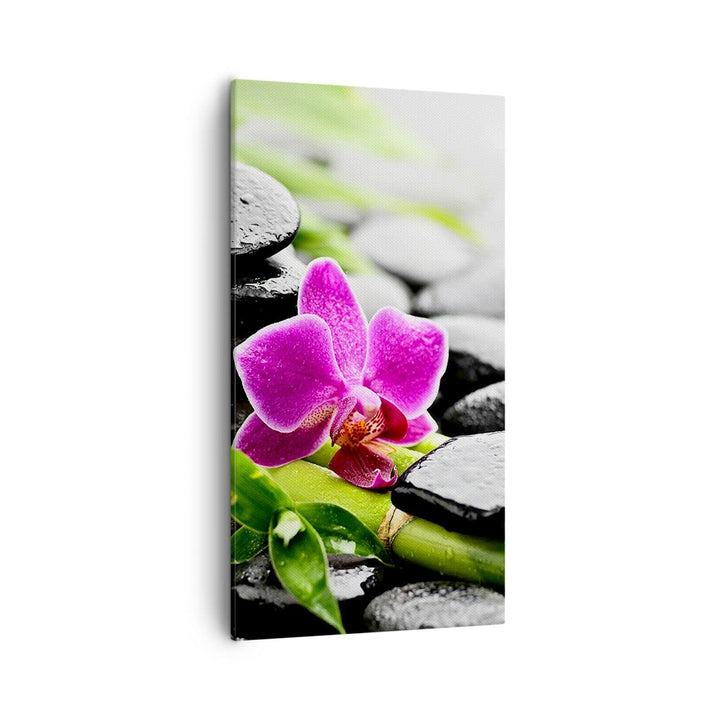 Bilder auf Leinwand 55x100cm Leinwandbild mit Rahmen Pflanze Steine Bambus Spa Gross Wanddeko Bild S