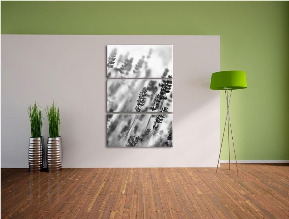 Pixxprint Schöner Lavendel im sanften Licht als Leinwandbild/Grösse: 3 Teilig (120x80) cm/Wandbild/K