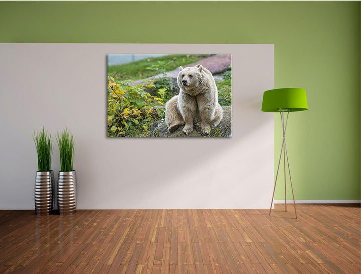 Pixxprint niedlicher Grizzly auf Stein auf Leinwand, XXL riesige Bilder fertig gerahmt mit Keilrahme