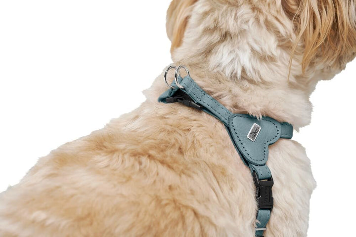 Hunter Hundegeschirr SOHO MINI, Farbe: hellblau, Rindsleder, weich & geschmeidig, fellschonend, leic