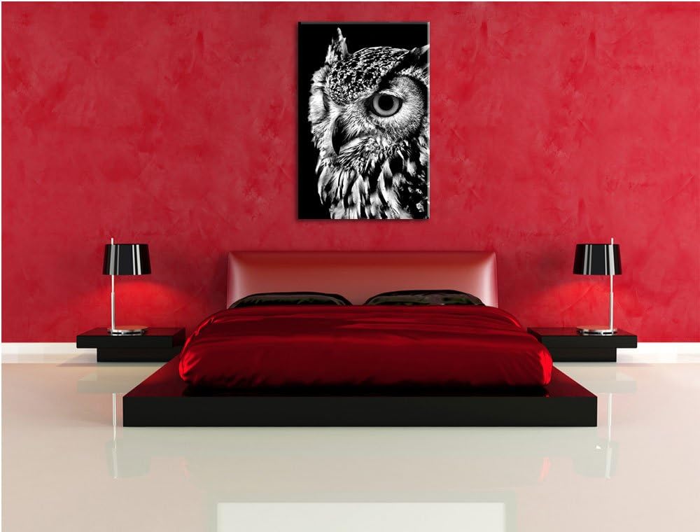 Pixxprint Dark Eule mit orangen Augen als Leinwandbild/Grösse: 100x70 cm/Wandbild/Kunstdruck/fertig
