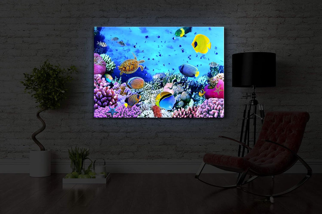 lightbox multicolor | Bilder mit LED Beleuchtung | Bunte Fische über Korallenriff | 100x70 cm | Fron