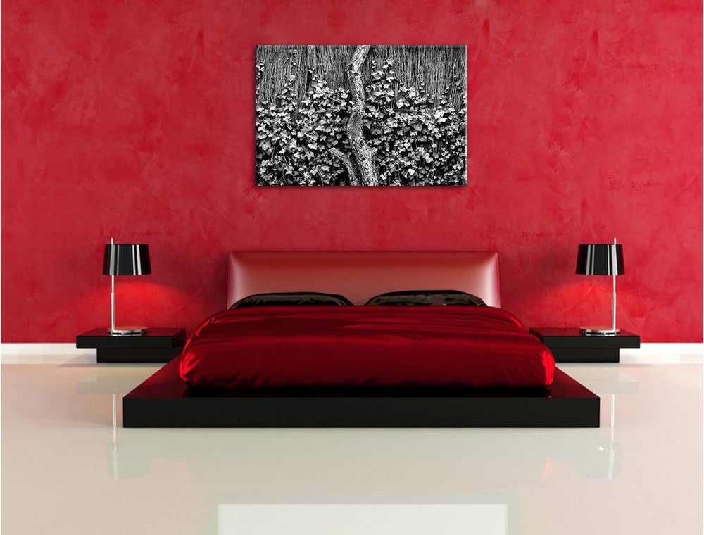 Pixxprint Efeuranke an einem Alten Zaun als Leinwandbild/Grösse: 100x70 cm/Wandbild/Kunstdruck/ferti