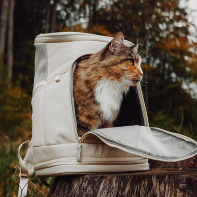 LucyBalu® HOP-ON Premium Katzenrucksack mit Fenster | Katzentransporttasche | Katzenbox | Katzen Tra