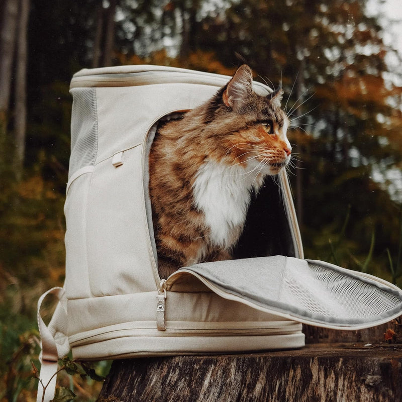 LucyBalu® HOP-ON Premium Katzenrucksack mit Fenster | Katzentransporttasche | Katzenbox | Katzen Tra