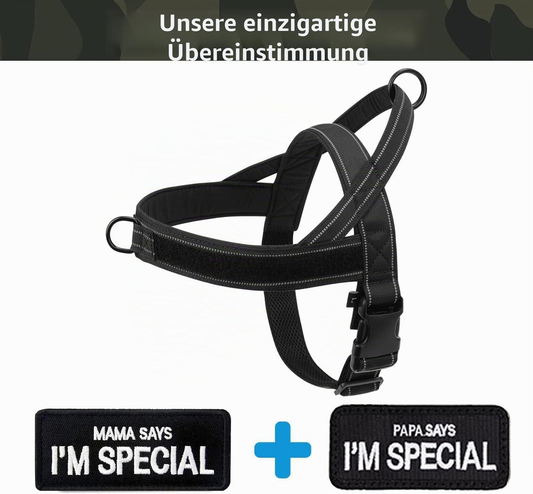 No Pull Hundegeschirr für kleine mittelgrosse Hunde, reflektierend ausbruchsicher verstellbar ohne Z