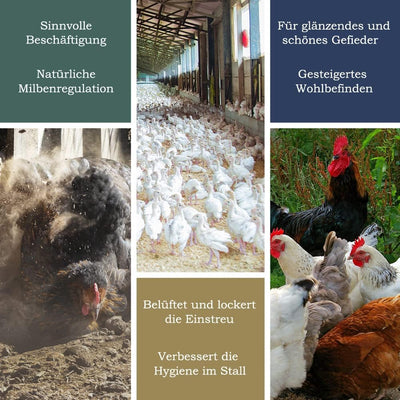 Petigi Urgesteinsmehl 25 kg Geflügeleinstreu Staubbad Sandbad Steinmehl Zeolith für Hühner Wachteln