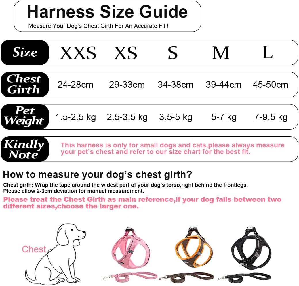 Hundegeschirr mit Leine Anti Zug Geschirr Reflektierend Brustgeschirr für Kleine Hunde, Haustiere, W