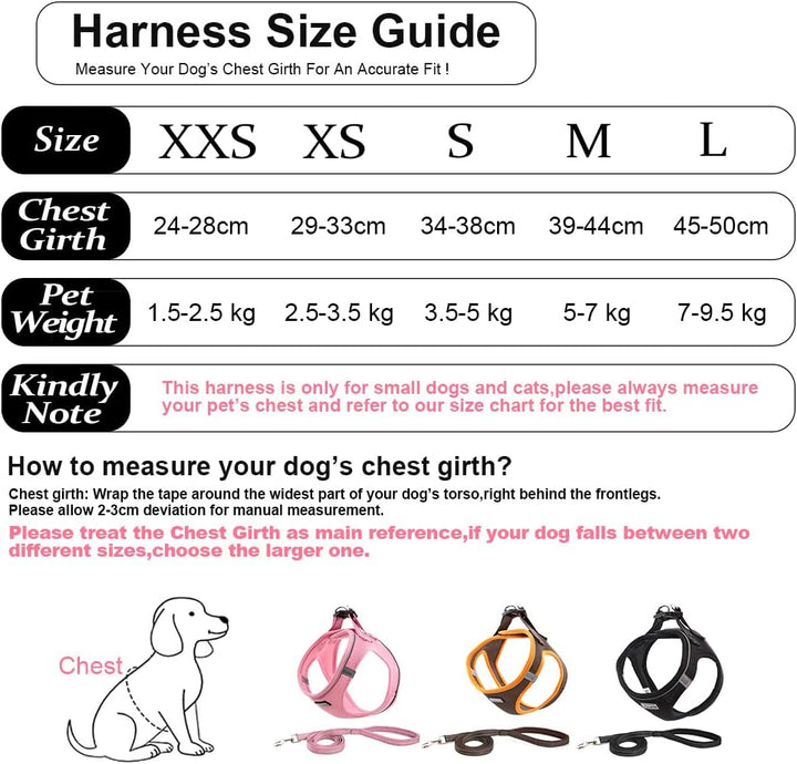 Hundegeschirr mit Leine, Anti Zug Geschirr Reflektierend Brustgeschirr für Kleine Hunde, Haustiere,