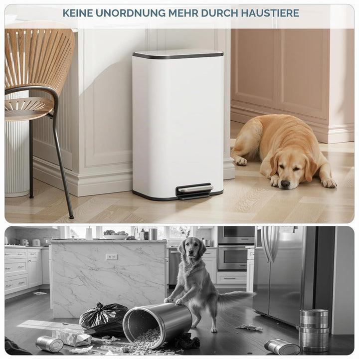 Clevich Mülleimer 30L mit Stahlkorpus und Soft-Close-Funktion, Deckel mit Edelstahloberfläche, abneh