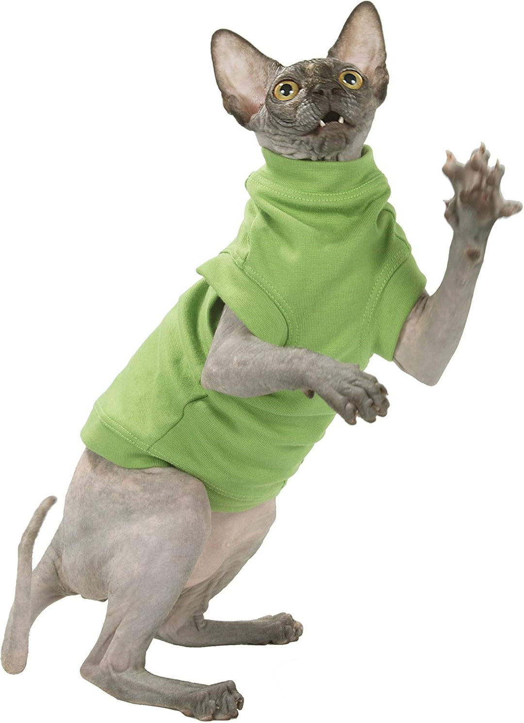 Katzen Kleidung Turtleneck Maxi Salad (XL), XL