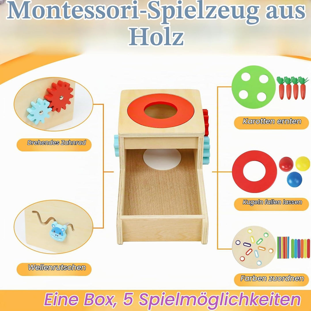 Holzspielzeug ab 1 Jahr, Montessori Spielzeug mit Karotten Baby Steckspiel, Motorik Spielzeug 1 2 3