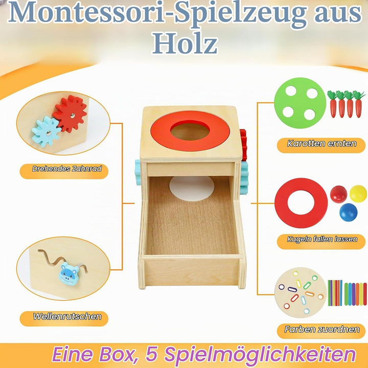 Holzspielzeug ab 1 Jahr, Montessori Spielzeug mit Karotten Baby Steckspiel, Motorik Spielzeug 1 2 3