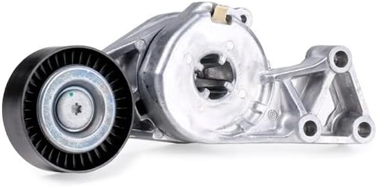 SKF VKMA 31111 Spannrollensatz für Nebentrieb