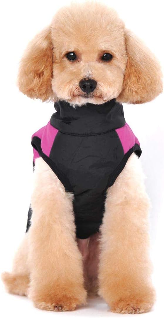 Winter Warm Pet Hund Kleidung klein wasserdichte Hundemantel Jacke Winter Gesteppt Gepolstert Puffer