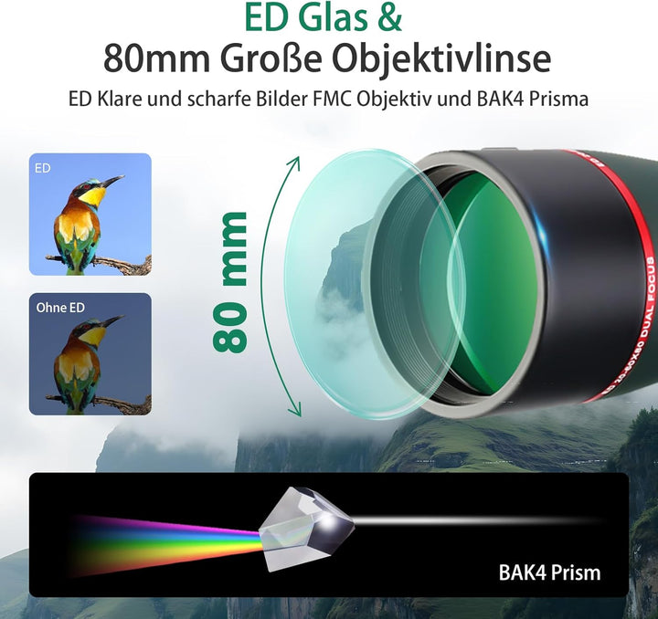 Svbony SV406P ED Spektive, 20–60x80mm, 1,25 Zoll Zoom-Spektive mit Dual Focus FMC BAK4, Spektiv für