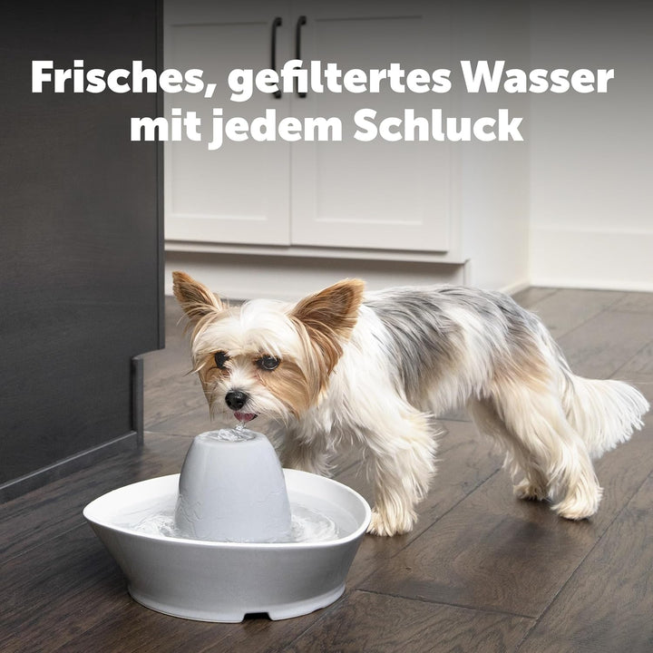 PetSafe Ersatz-Aktivkohlefilter für Drinkwell-Keramik-Trinkbrunnen, Sauberes Trinkwasser für Hunde u