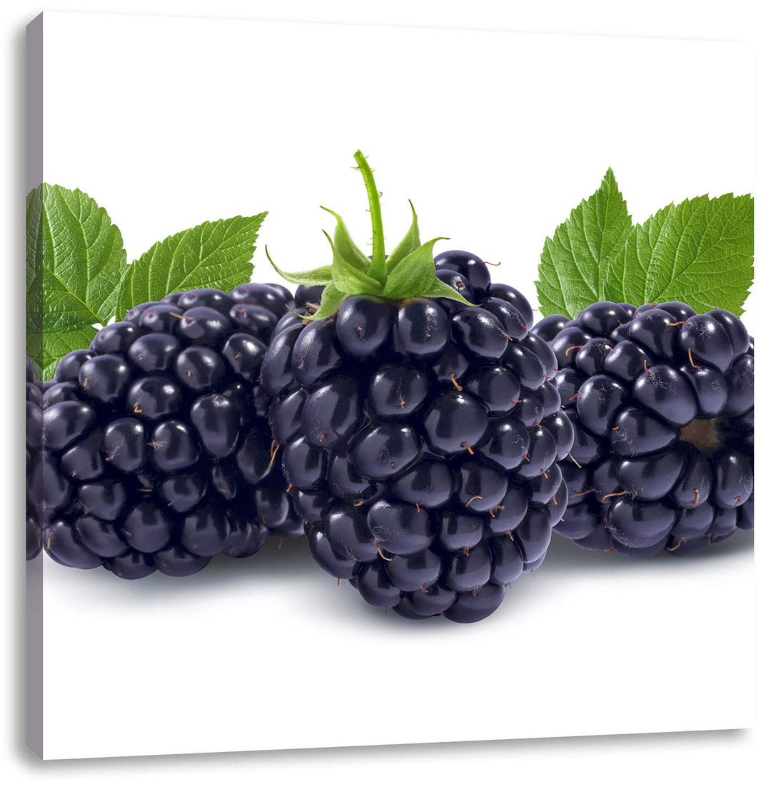 Leckere Brombeeren, Format: 70x70 auf Leinwand, XXL riesige Bilder fertig gerahmt mit Keilrahmen, Ku