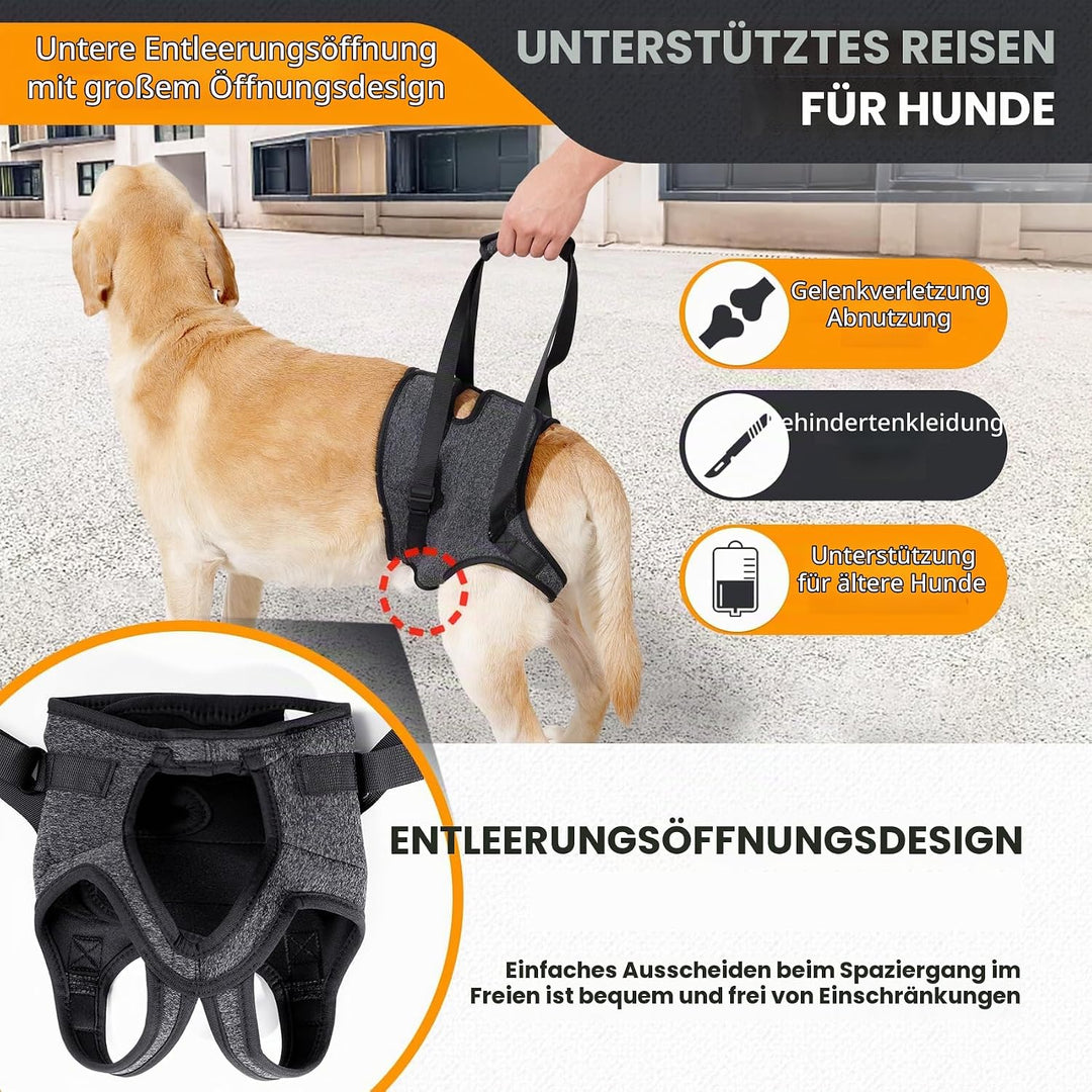 Verstellbares Hundegeschirr für Hinterbein–Stützgeschirr/Schlaufe mit Tragehilfe &amp;Griff für Behinder