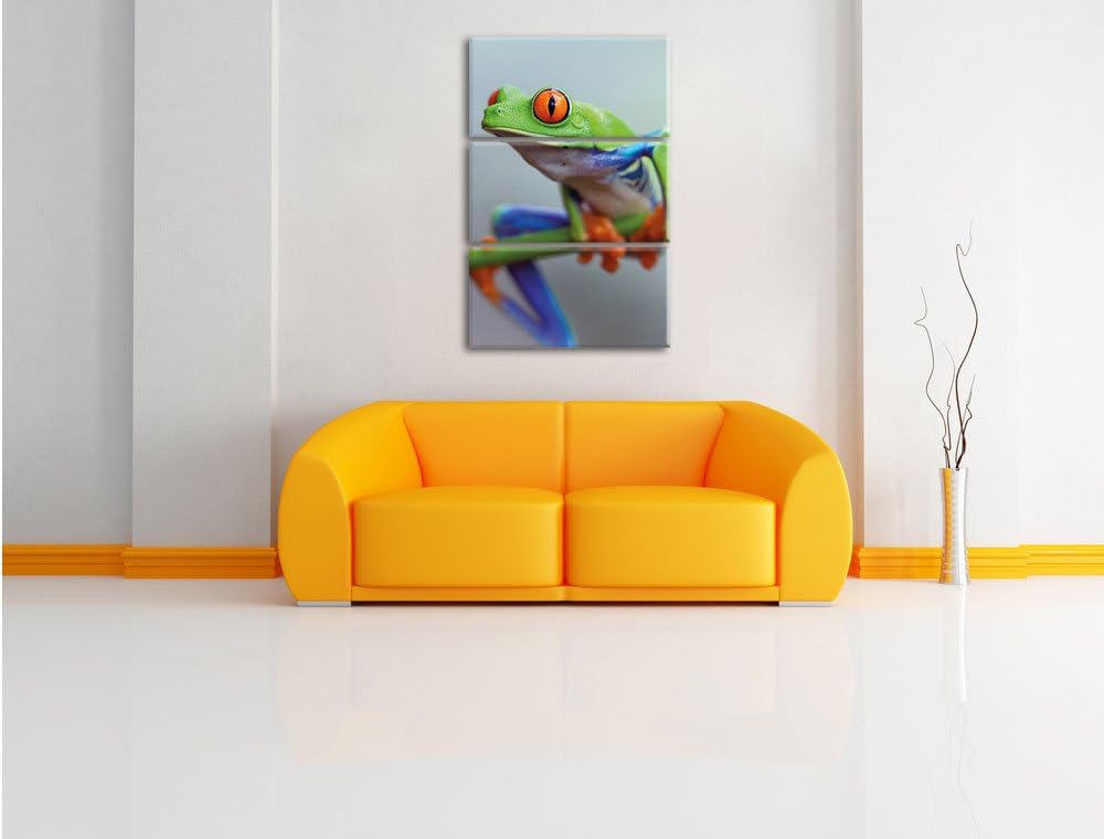 Pixxprint Grüner Frosch auf AST 3-Teiler Leinwandbild 120x80 Bild auf Leinwand