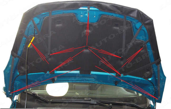AB3-00270 CARBON OPTIK Bonnet BRA kompatibel mit Fiesta Mk7 Bj. ab 2017 Haubenbra Steinschlagschutz