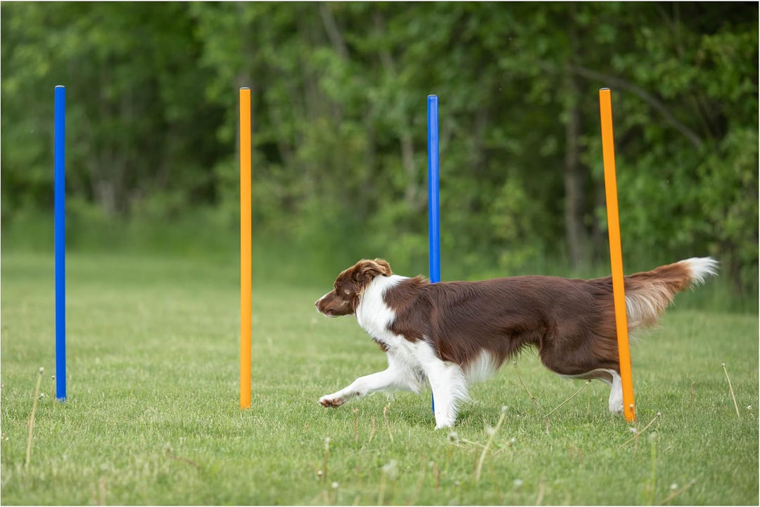 Trixie Agility Slalom, 12 Stangen, 115×ø 3 cm