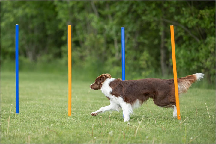 Trixie Agility Slalom, 12 Stangen, 115×ø 3 cm