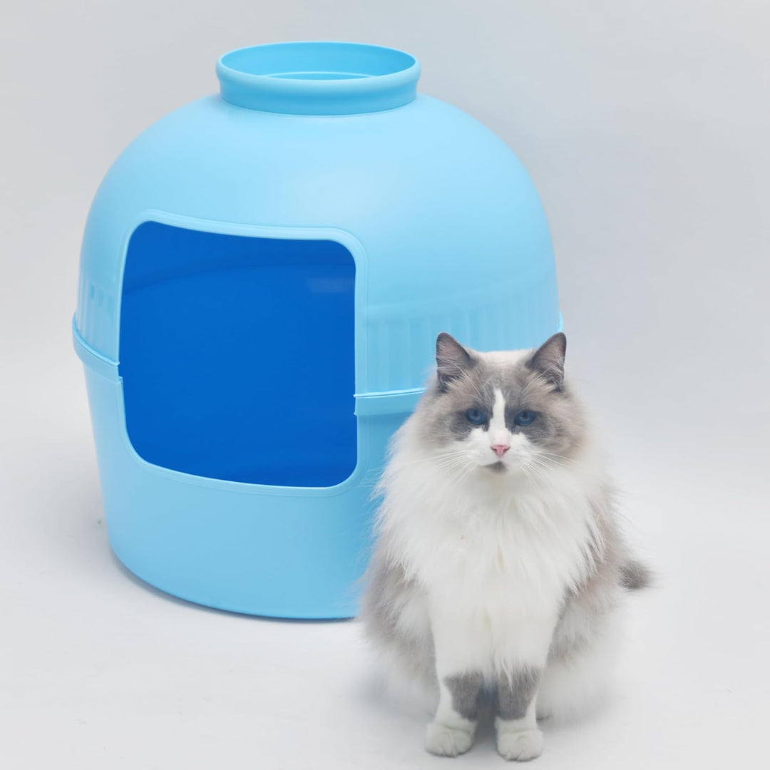 RHRQUALITY Katzentoilette – Flower XXL – Versteckte Katzentoilette – Für grosse Katzen – Mit grossem