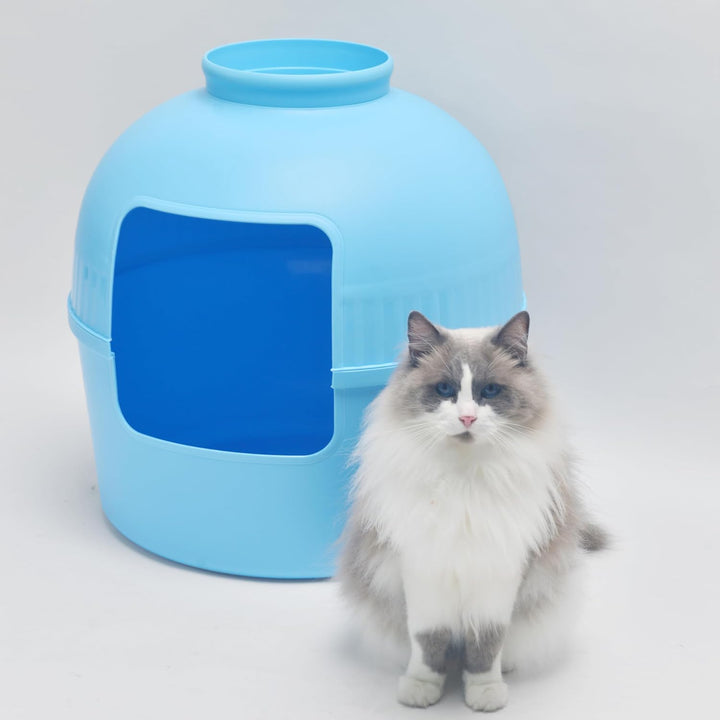 RHRQUALITY Katzentoilette – Flower XXL – Versteckte Katzentoilette – Für grosse Katzen – Mit grossem