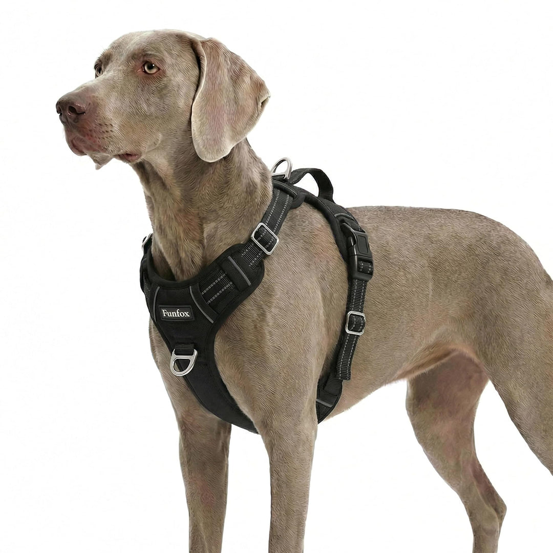 Funfox Hundegeschirr Grosse Hunde No Pull Geschirr Einstellbar Anti Zug Sicherheitsgeschirr Mittlere