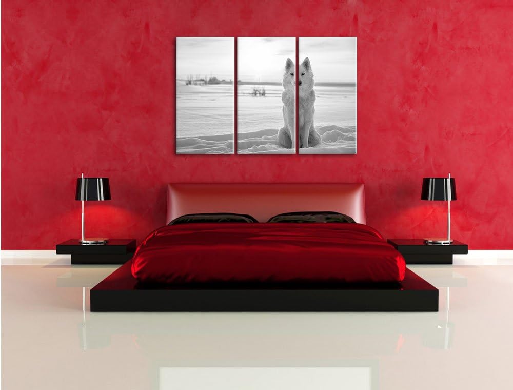 Pixxprint Weisser Wolf im Schnee Kunst B&W als Leinwandbild/Grösse: 3 Teilig (120x80) / Wandbild/Kun