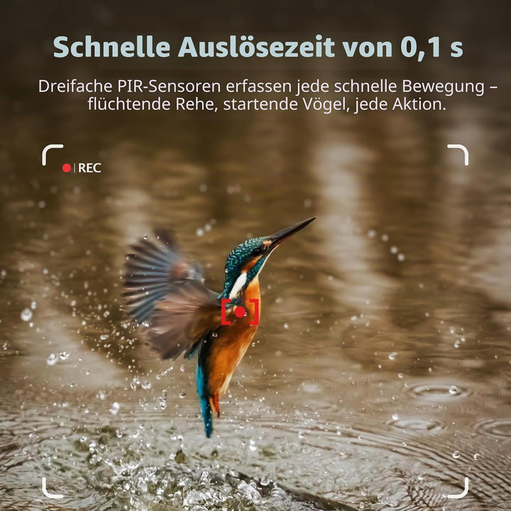 WLAN Wildkamera WiFi Wildtierkamera Nachtsichtkamera Fotofalle 32MP 1296P Verbinden druch APP Blueto
