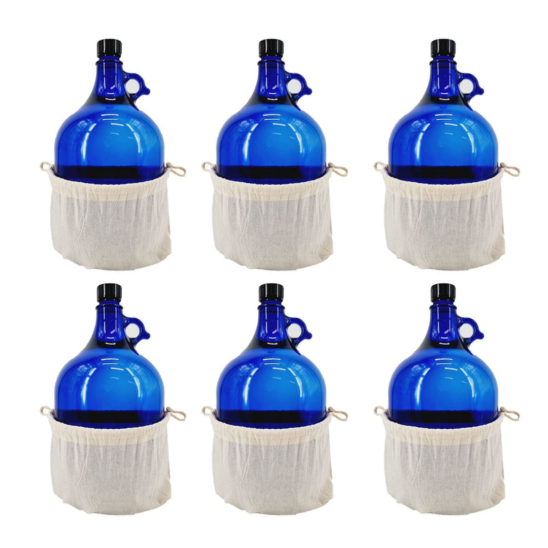 Albert's Premium Selection 5 Liter Henkelflasche/Glasballon, blau, inkl. Deckel und Baumwollbeutel (