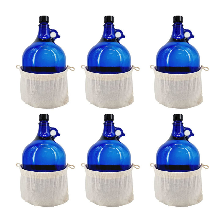 Albert's Premium Selection 5 Liter Henkelflasche/Glasballon, blau, inkl. Deckel und Baumwollbeutel (