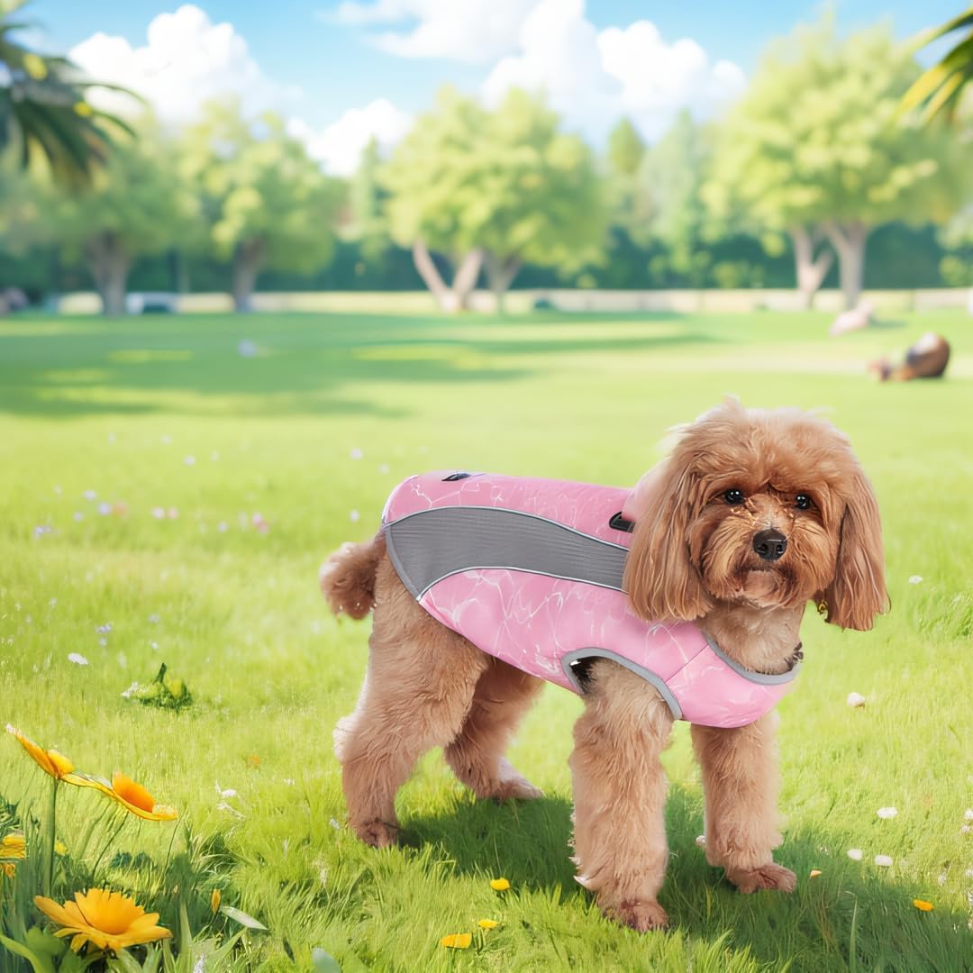 Doppelfunktion Hundemantel Winter Hundejacke & Sommer Hund Kühlweste mit Geschirr D-Schnalle, kaltes