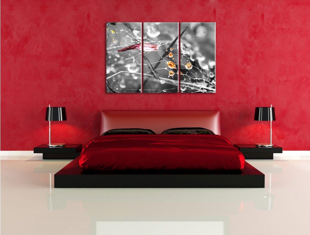 Pixxprint Spinnennetz mit Wassertropfen B&W Detail 3-Teiler Leinwandbild 120x80 Bild auf Leinwand