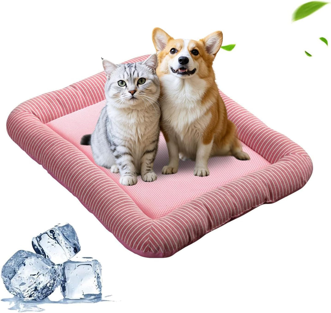 PETCUTE Hundebett Katzenbett Katzen Tiere Hundedecke Hundekorb,Hundebett Grosse Mittlere Kleine Hund