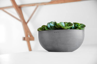 ECOPOTS Pflanzschale Sofia Grau - 30 x 13 cm oval gross - Pflanzentopf aus Recycling Kunststoff - Üb